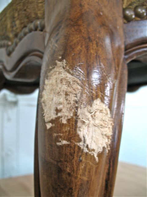 detail of upper leg damage